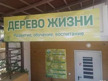 Логопед Дерево жизни в Геленджике