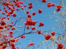 рекламное агентство Остров в Хабаровске