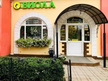 магазин товаров для сада и огорода Виола в Перми