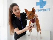ветеринарный центр ВетЭксперт в Владимире