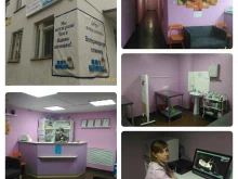 ветеринарный центр Кот Матроскин в Нижнем Новгороде