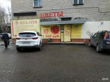сеть цветочных салонов Азалия в Томске