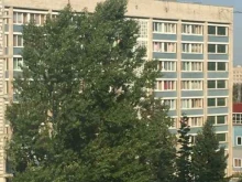 Межвузовский студенческий городок в Санкт-Петербурге, Новоизмайловский проспект, 16 к7 