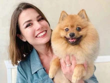 студия стрижек собак и кошек Groomi в Перми