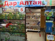 магазин Дар Алтая в Ленинске-Кузнецком