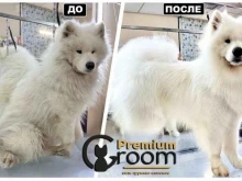 груминг-салон Premium groom в Владивостоке