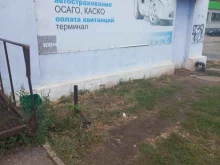Номерные знаки на транспортные средства Континент в Новокуйбышевске