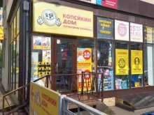 Копейкин Дом, Репина, 2/к 