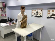 ветеринарный центр Ашера в Волгограде
