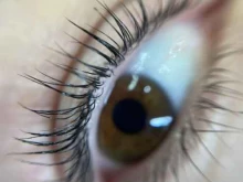 студия красоты LashesGo в Анапе