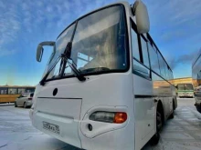 служба заказа автобусов Крас-автобус.рф в Красноярске