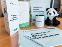 Разработка программного обеспечения для мобильных устройств Пандаворкс в Уфе