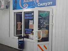 мастерская по пошиву и ремонту одежды Силуэт в Михайловске