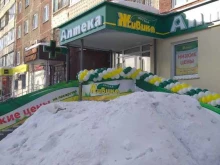 аптека Живика в Барнауле