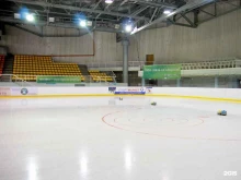 Ледовый дворец, улица Челюскинцев, 2а 