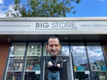 Ремонт мобильных телефонов BigStore в Анапе