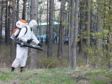 санитарная служба Красдез в Дивногорске