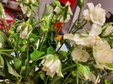 магазин цветов Ирис в Владивостоке