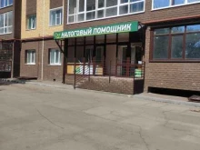 Бухгалтерские услуги Налоговый помощник в Арзамасе