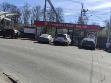 магазин Городская база цветов в Мытищах