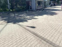 Быстрое питание 33 пингвина в Хабаровске