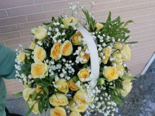 ИП Абрамова М.С. Магазин цветов в Артеме