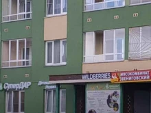 детская академия развития СуперДар в Нижнем Новгороде