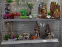 магазин аквариумистики Аквамагия в Комсомольске-на-Амуре