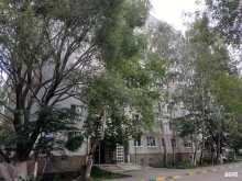 выездная служба ветеринарной помощи ВЕТ НЕОТЛОЖКА в Нижнем Новгороде