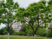 банкомат СберБанк в Старом Осколе