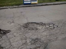 Вологодское общество защиты животных Велес в Вологде