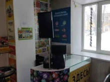Продажа лотерейных билетов Столото в Новоалтайске