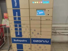 автоматизированный пункт выдачи Ozon box в Подольске