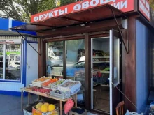 Магазин по продаже фруктов, сухофруктов и овощей, Ново-Садовая, 341г 