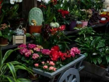 салон цветов и подарков Romantic в Рязани