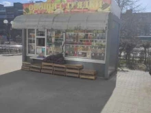 киоск по продаже овощей и фруктов Удачные грядки в Дзержинске