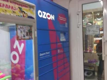 автоматизированный пункт выдачи Ozon box в Подольске