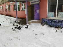 парикмахерская Нимфа в Челябинске