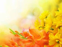 салон Матрешка flowers в Краснодаре