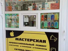 мастерская по ремонту техники Мобилкин в Мурино