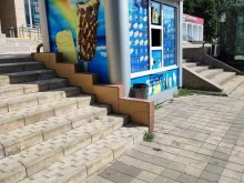 киоск по продаже мороженого Славица в Краснодаре