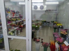 магазин цветов Гранд флора в Дзержинском