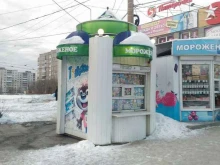 Нижнетагильский холодильник, Карла Либкнехта, 17а киоск 
