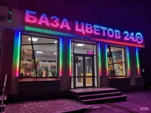 Сувенирные композиции База Цветов 24.ру в Нижнем Новгороде