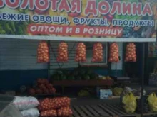 магазин овощей и фруктов Золотая долина в Кызыле