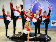 Спортивные школы Пермская краевая Федерация пилонного спорта в Перми