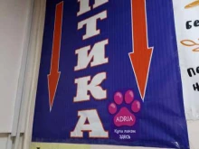 Контактные линзы Оптика в Красноярске