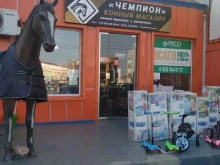 конный магазин Чемпион в Грозном