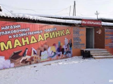 оптово-розничный магазин одноразовой посуды, упаковки и хозяйственных товаров Мандаринка в Якутске