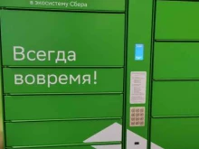 постамат СберЛогистика в Дзержинске
